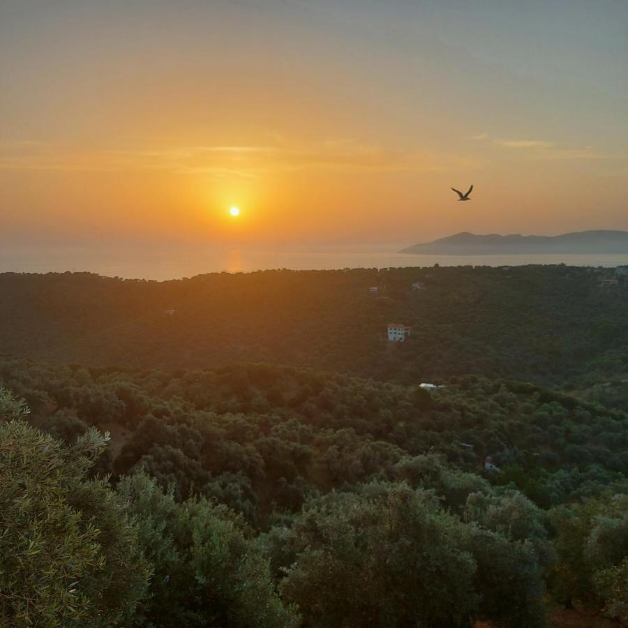 Villa Amfithea Moni Evaggelistrias Экстерьер фото